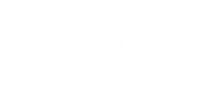 partners who work with 5234Game